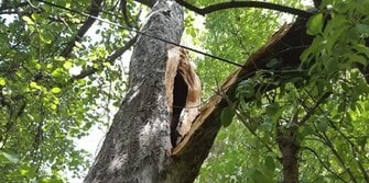 Storm Damage Response